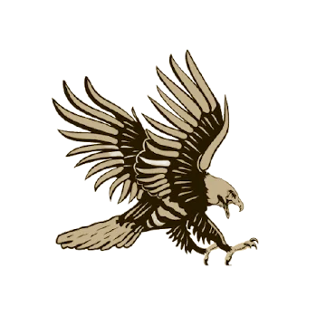 Hawkwatch Security