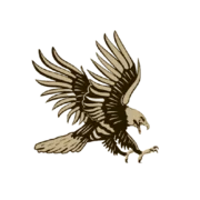 Hawkwatch Security